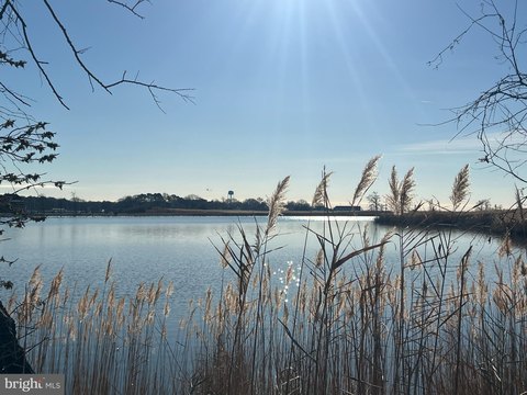 Waterfront Land on Tavern Creek