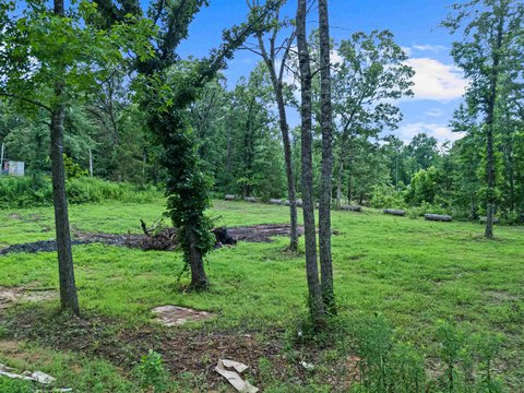 LAND - Gilmer, TX