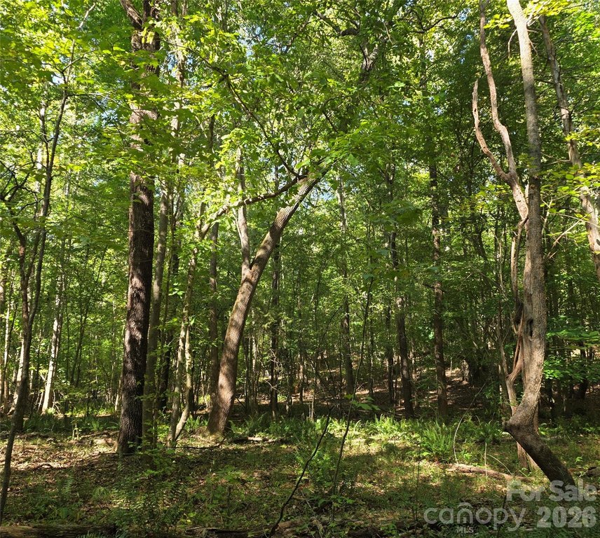 Picture 31