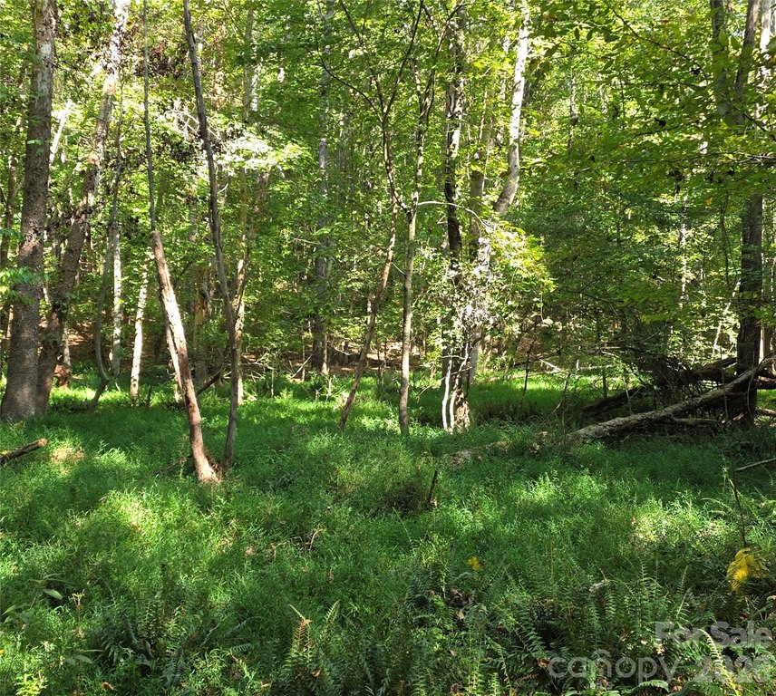 Picture 26