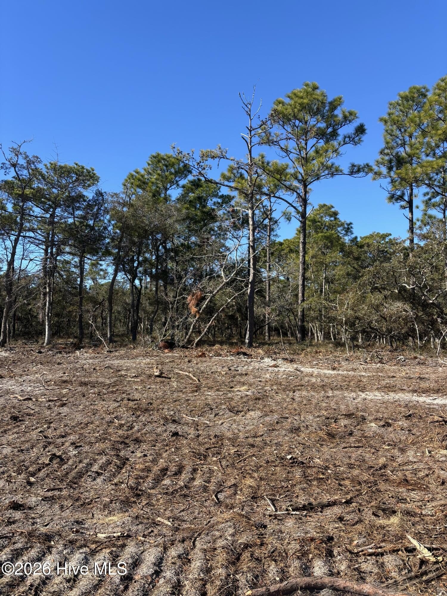 Southport Land in Master-Planned Community