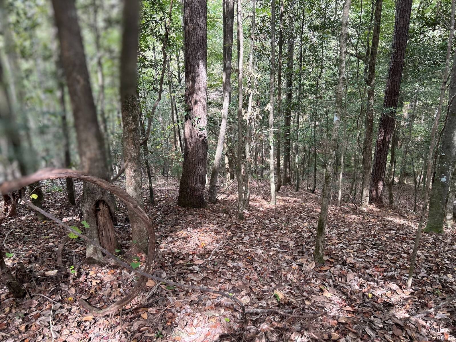 94 Acres Vacant Land