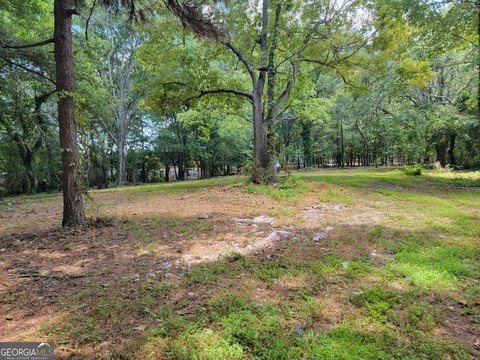 Prime Land in Stone Mountain