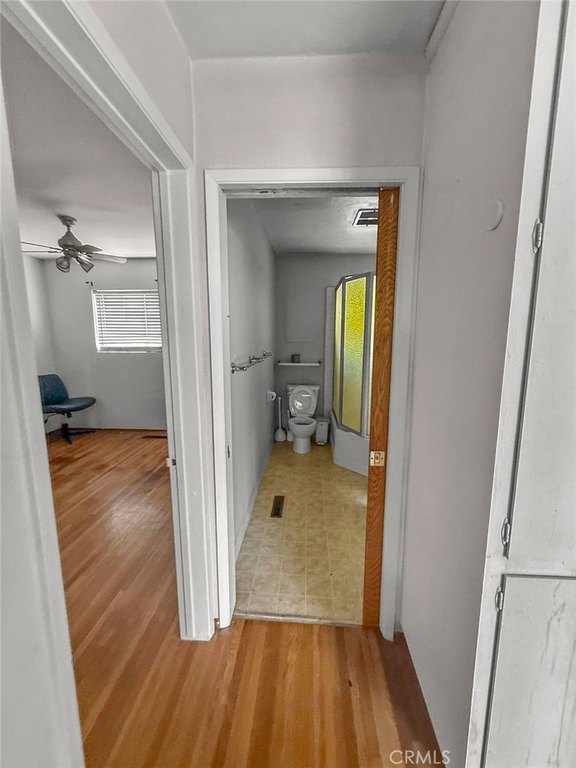 Picture 38
