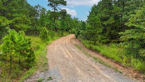 Heavily Wooded Mountain View Lot