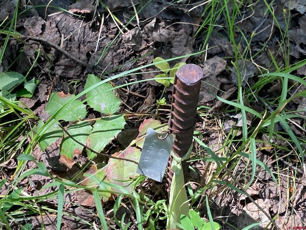 Picture 13