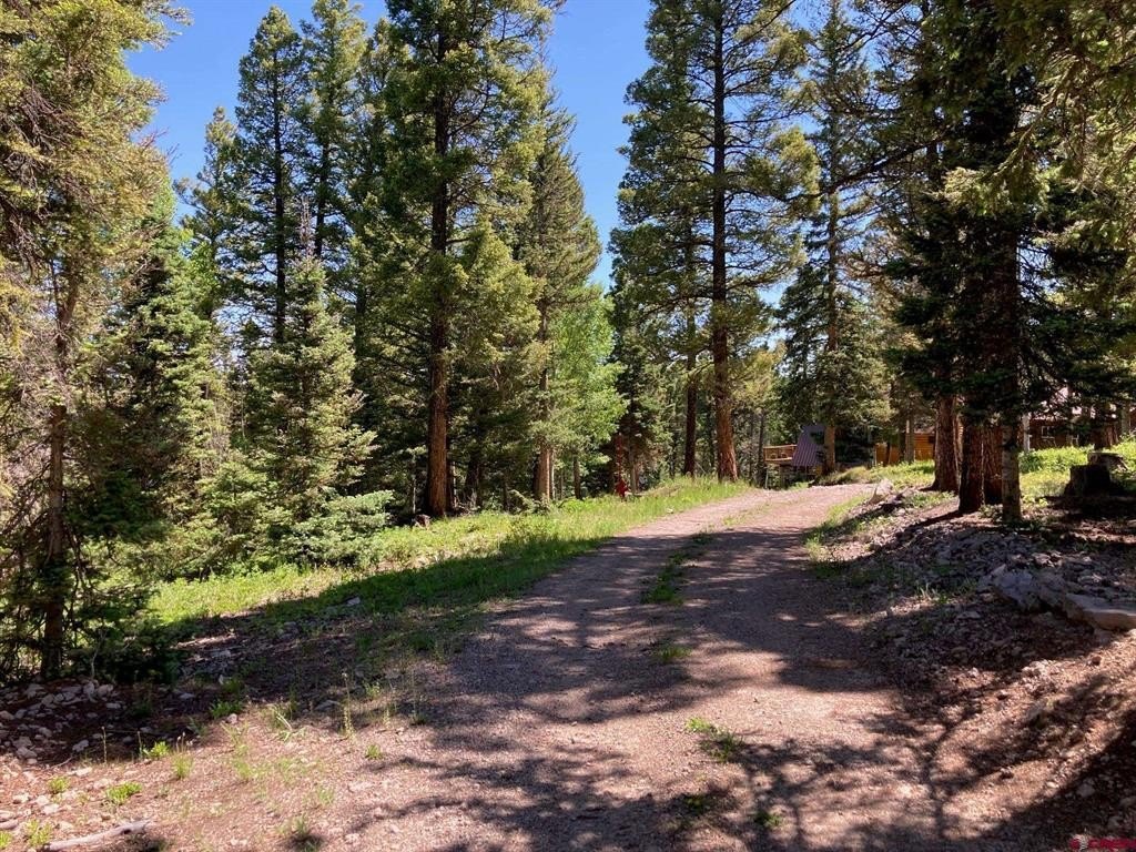 Picture 20