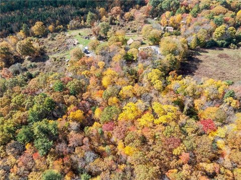 61+ Acres of Farmland