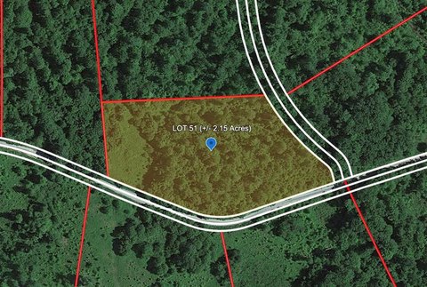 Wooded Land in Bragg, WV