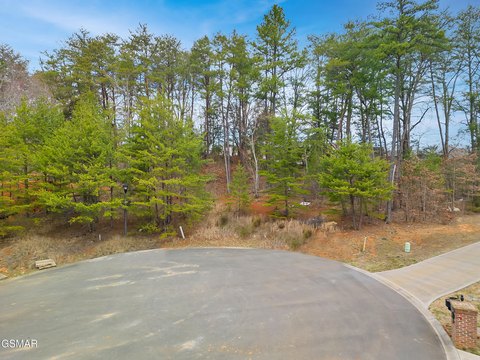 Residential Land in Sevierville, TN