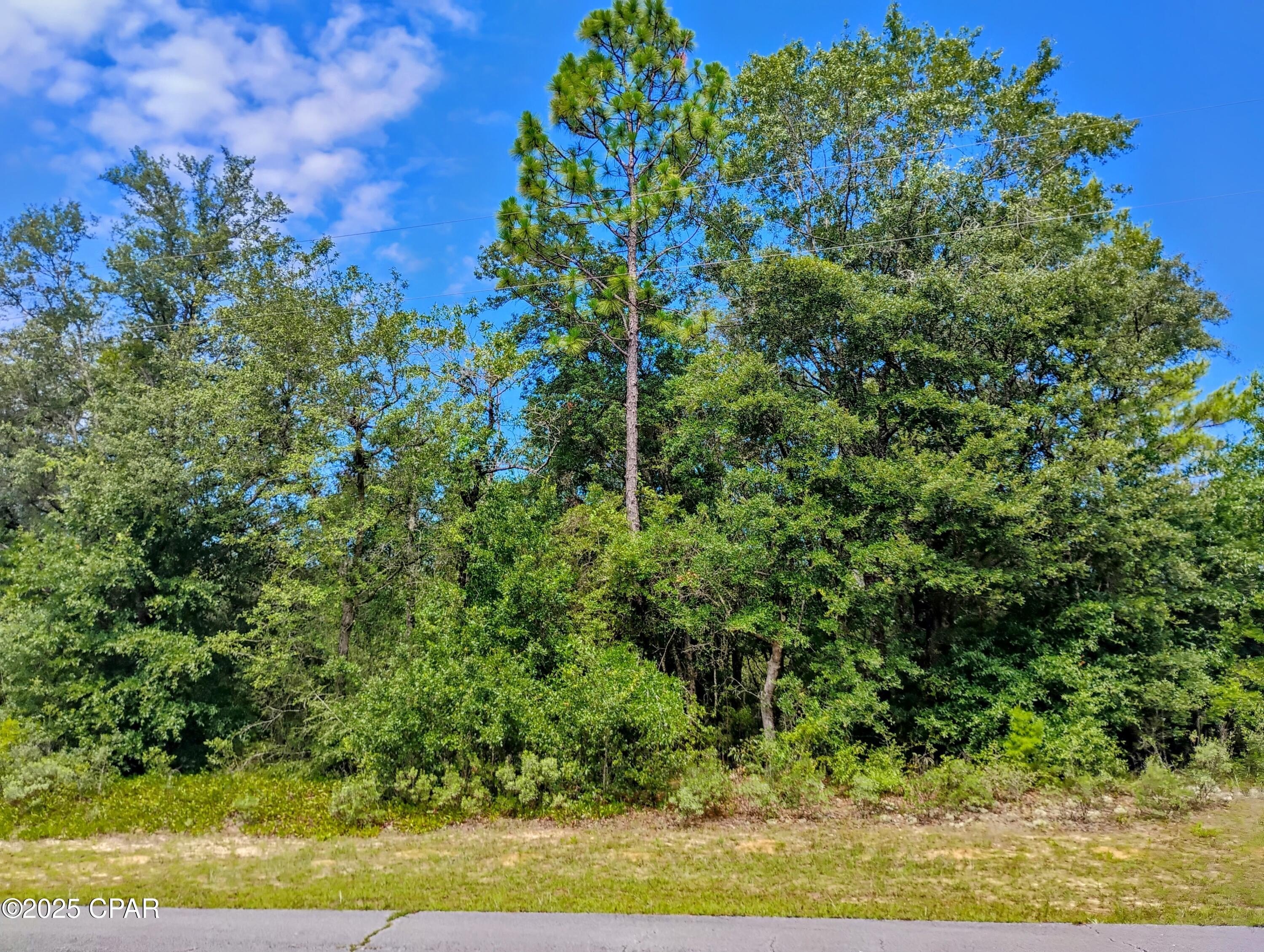 Vacant Lot in Sunny Hills