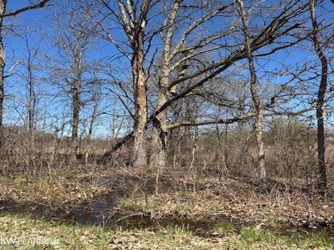 LAND - Imlay City, MI