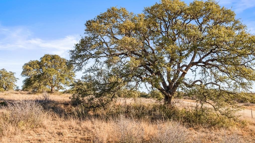 Texas Hill Country Land Parcel