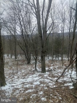 Scenic 6-Acre Land Parcel