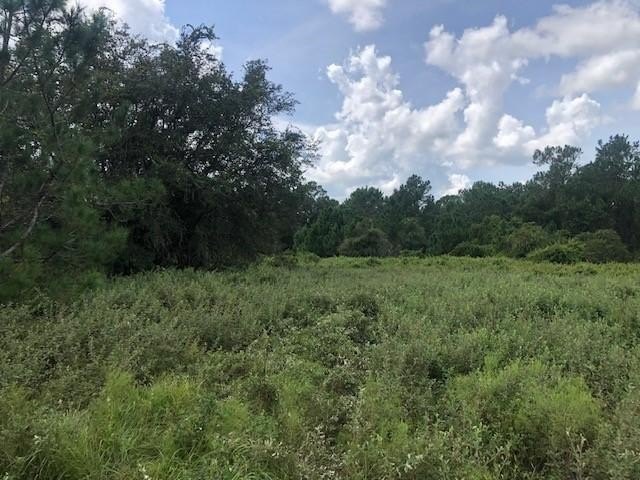 Polk County Hunting Lot