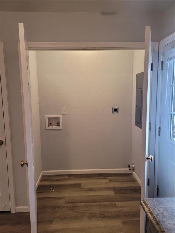 Picture 5