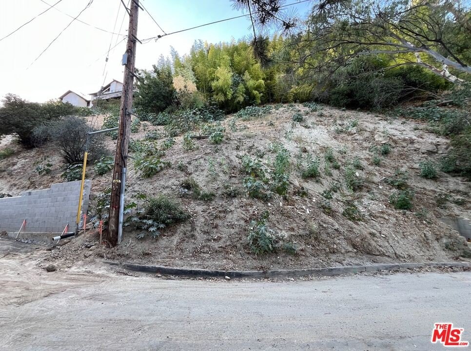 Picture 7