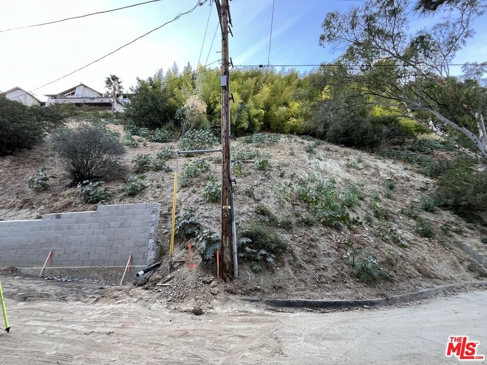Picture 6