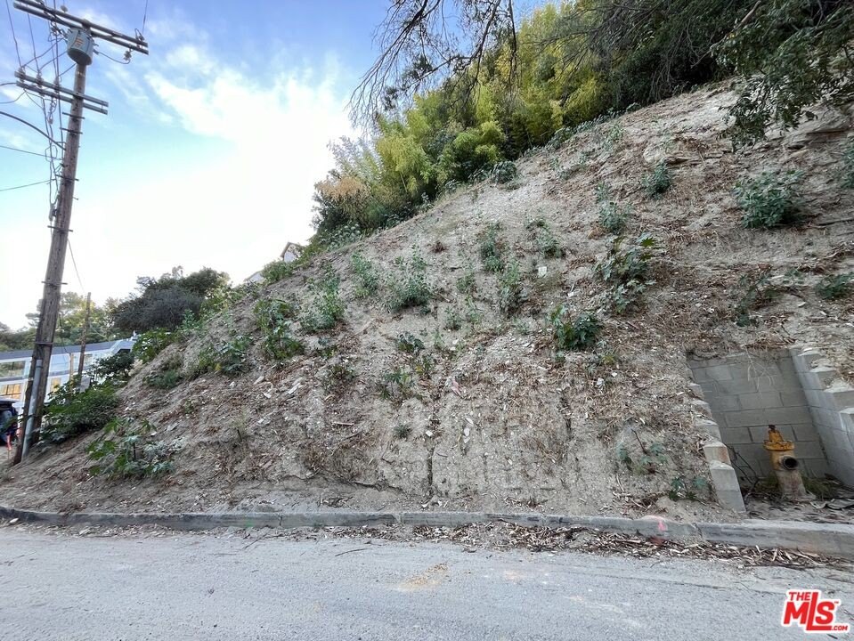 Picture 8