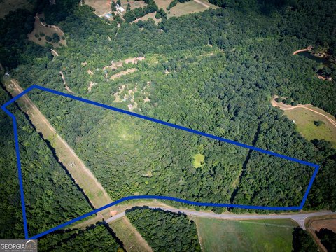 39+ Acre Lot in Danielsville