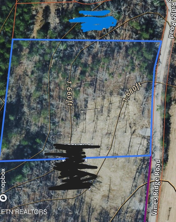 Picture 4