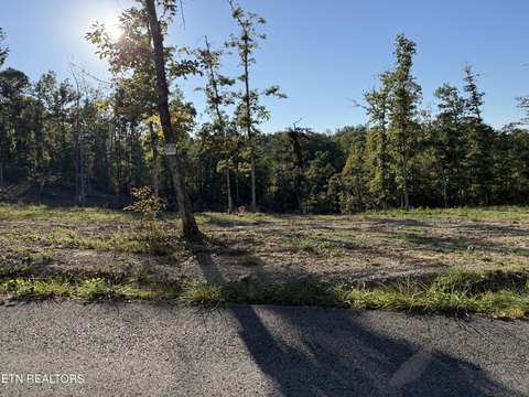 Lots & Acreage, Wilder, TN