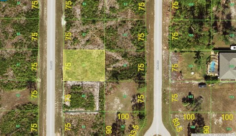 Land - PLACIDA, FL
