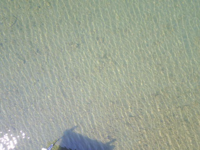 Picture 3