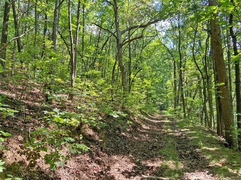 Land, Dawsonville, GA