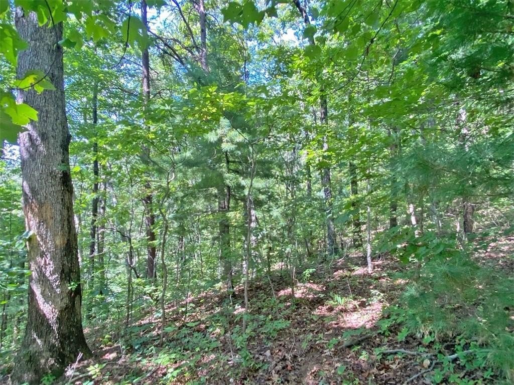 Picture 8