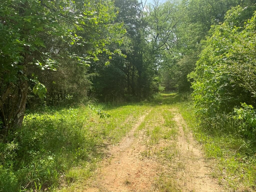 Picture 17