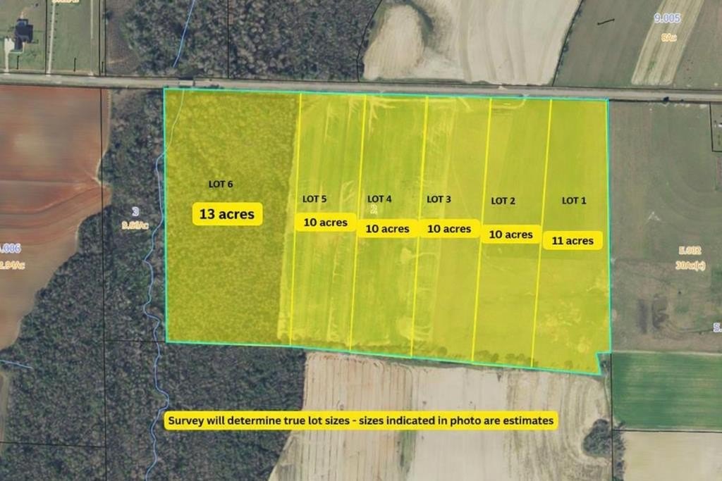 Residential Land in Ashford, AL