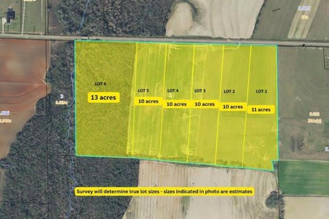 Residential Land in Ashford, AL