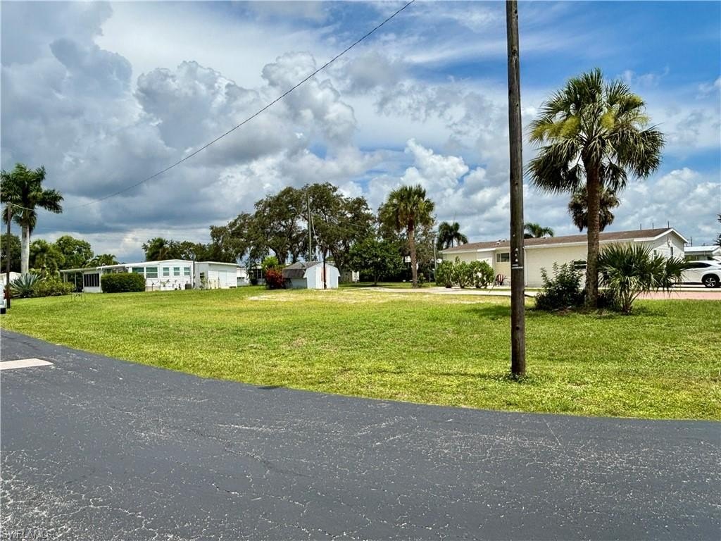 Picture 12