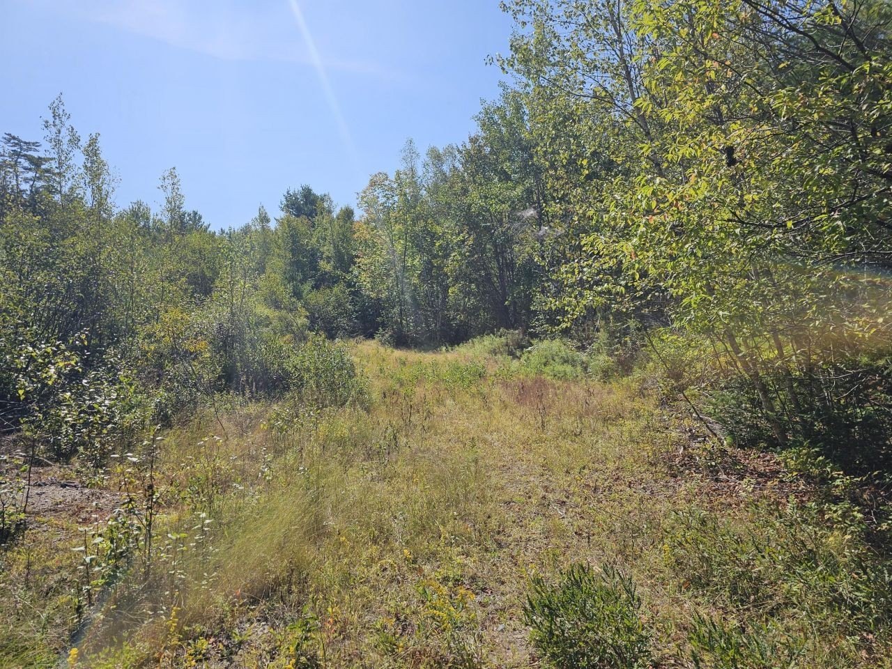 Secluded Land for Outdoor Enthusiasts