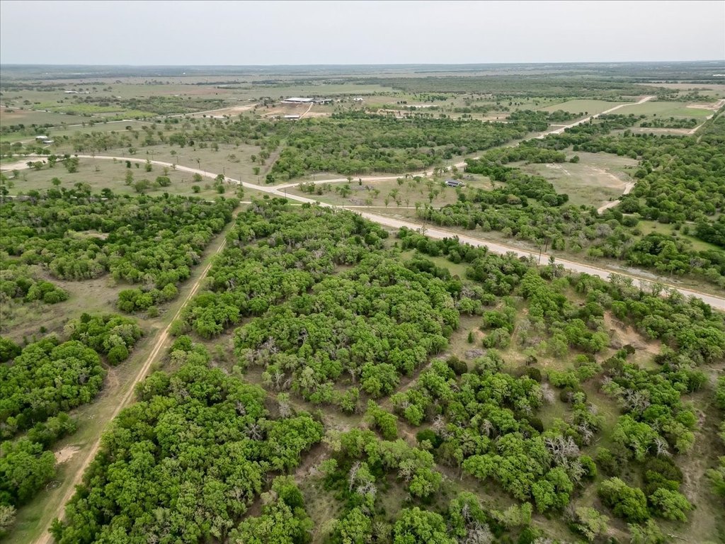 Picture 25