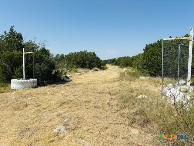 Picture 2
