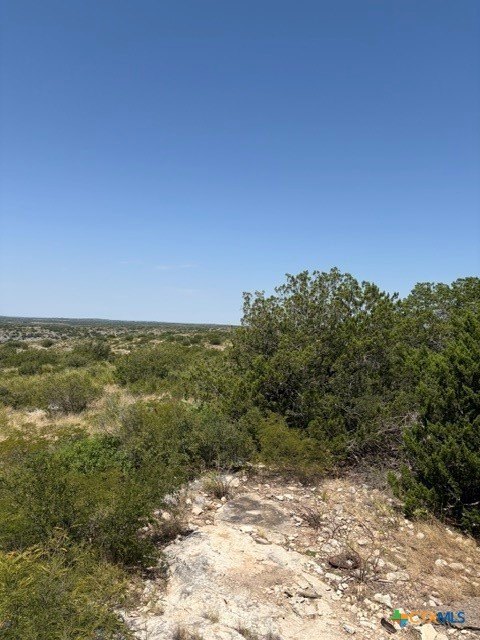 Picture 14