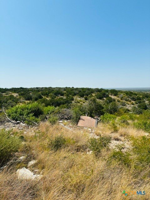 Picture 16