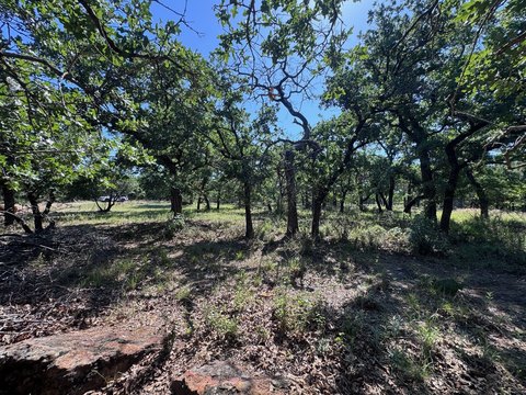 Land, Gordon, TX