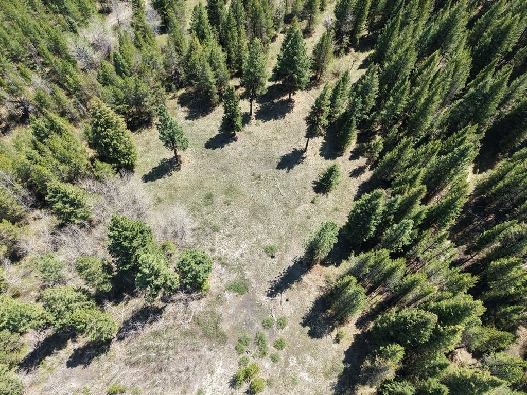 Picture 5