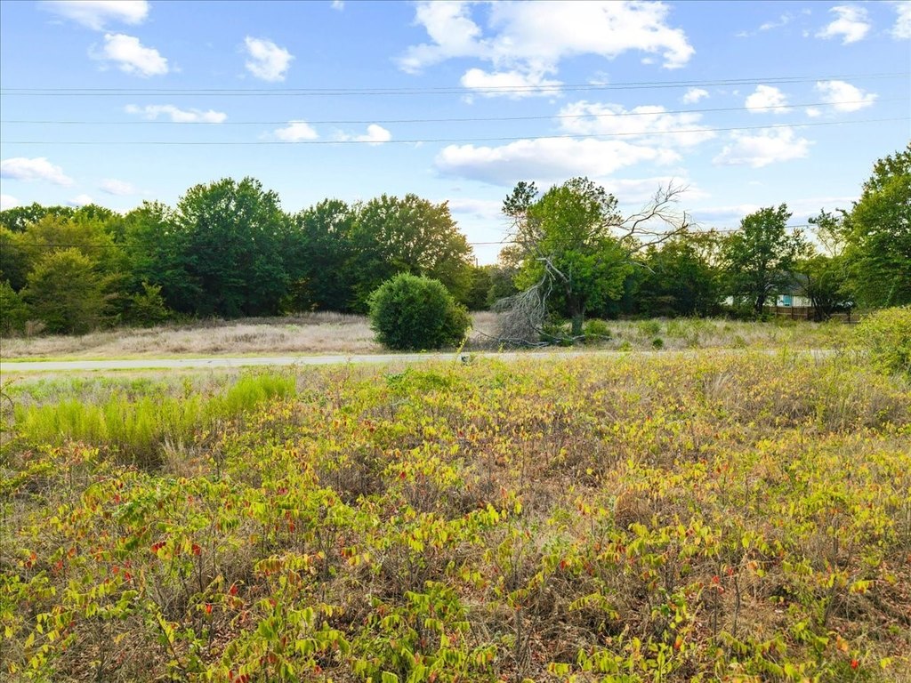 Picture 9