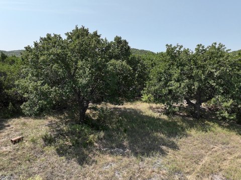 Land, Tuscola, TX