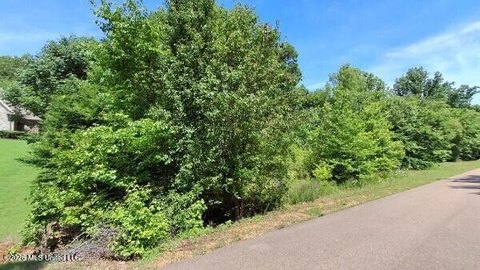 Southaven Land Opportunity in Dickens