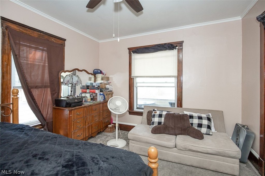Picture 13