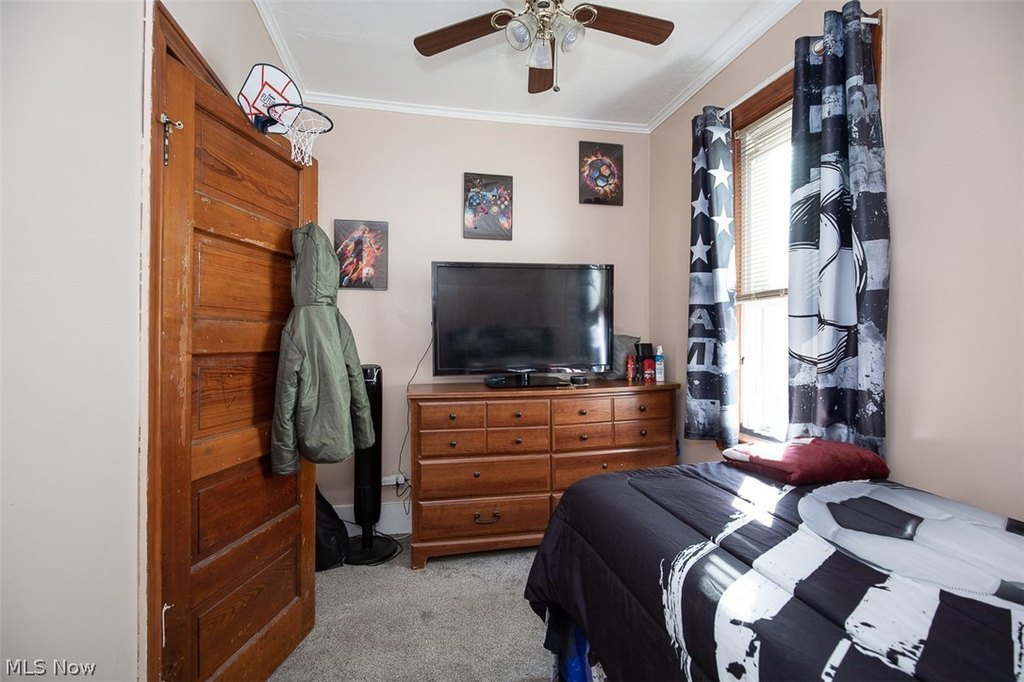 Picture 23