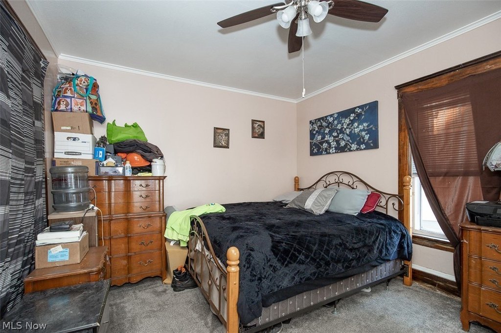 Picture 17