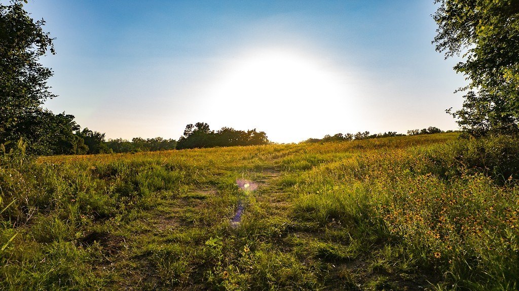 Cameron, TX Residential Land