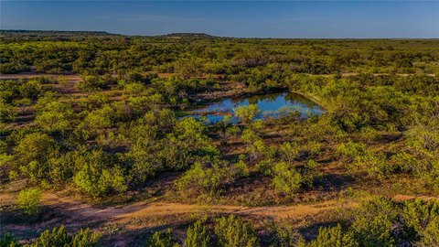 Recreational Hunting Land with Road Access