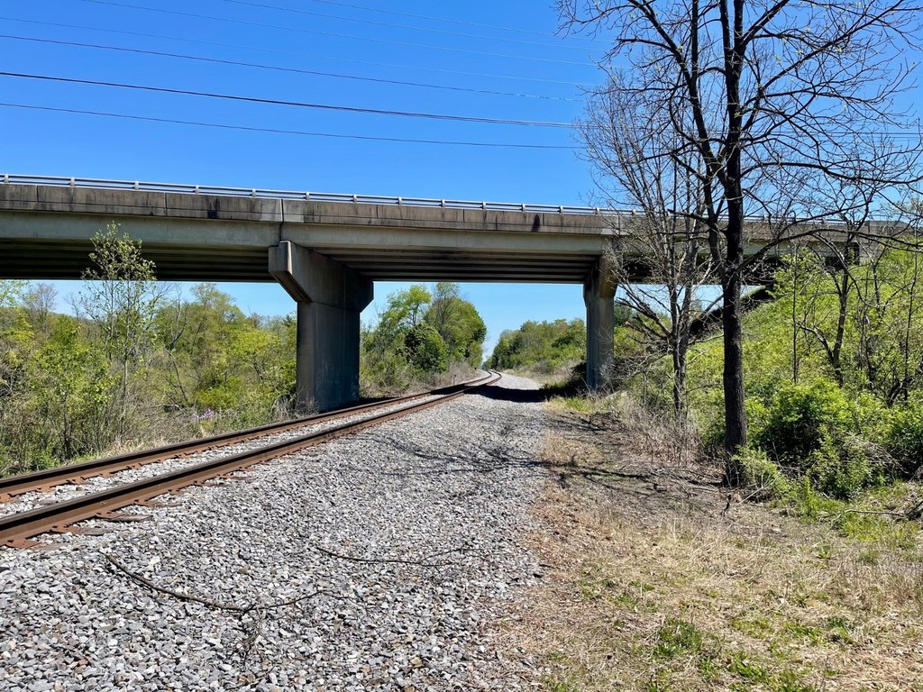 Picture 17